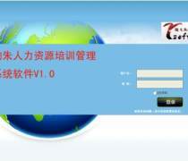 管理軟件開發、銷售與計算機系統集成服務的綜合解析