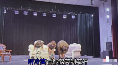 從經紀到演員 張丹峰前經紀人跨界話劇舞臺，旗袍造型驚艷四座